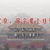 掩耳盗玲是什么动物